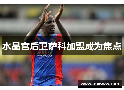 水晶宫后卫萨科加盟成为焦点